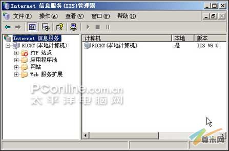 Internet 信息服务(IIS)管理器的界面
