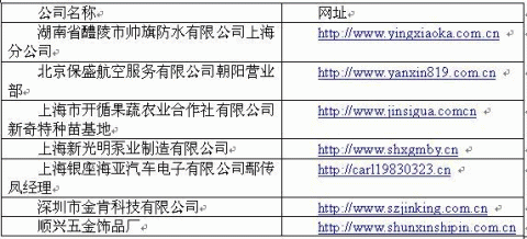 winport网商无域名所有权